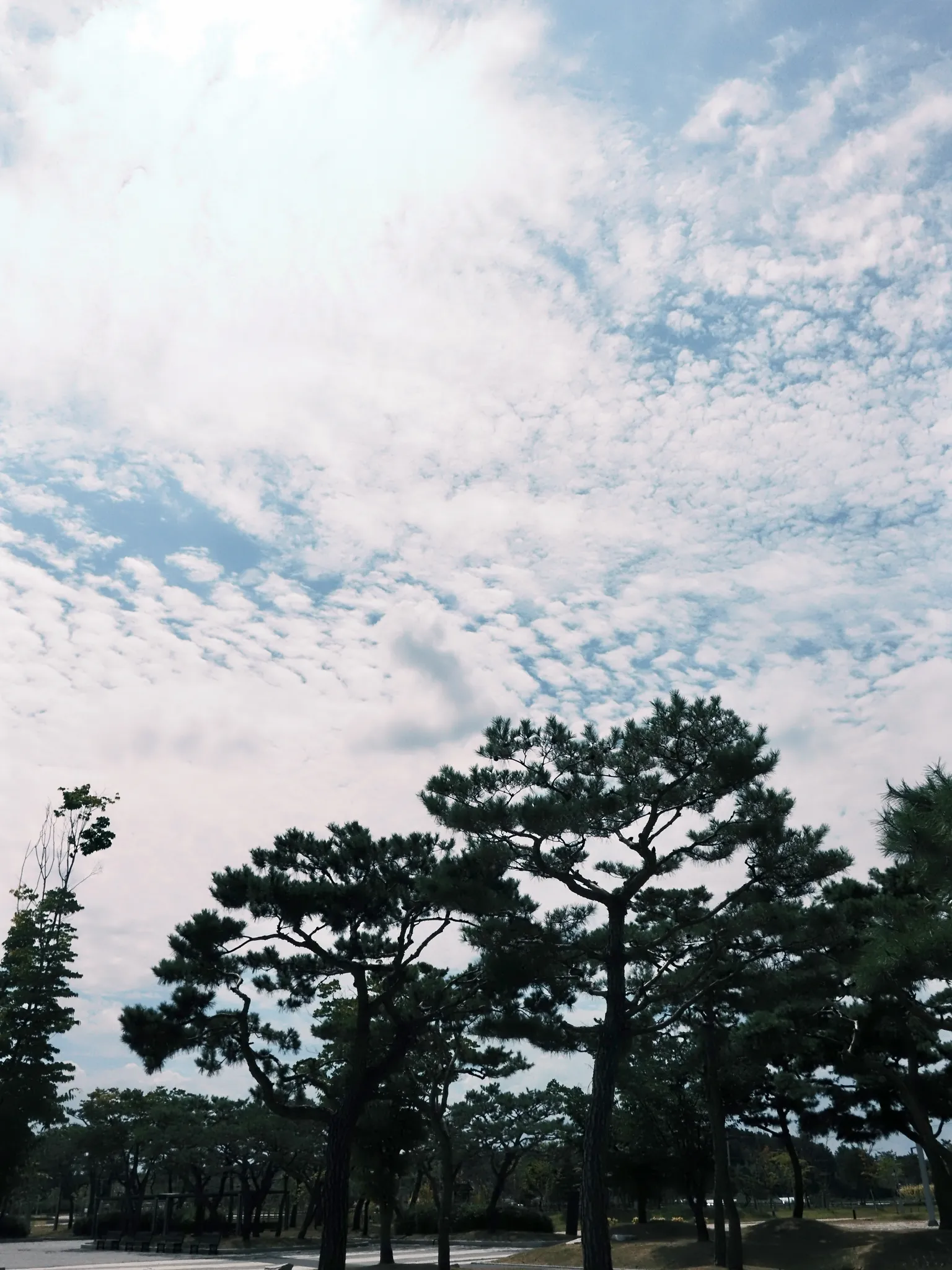 담양여행