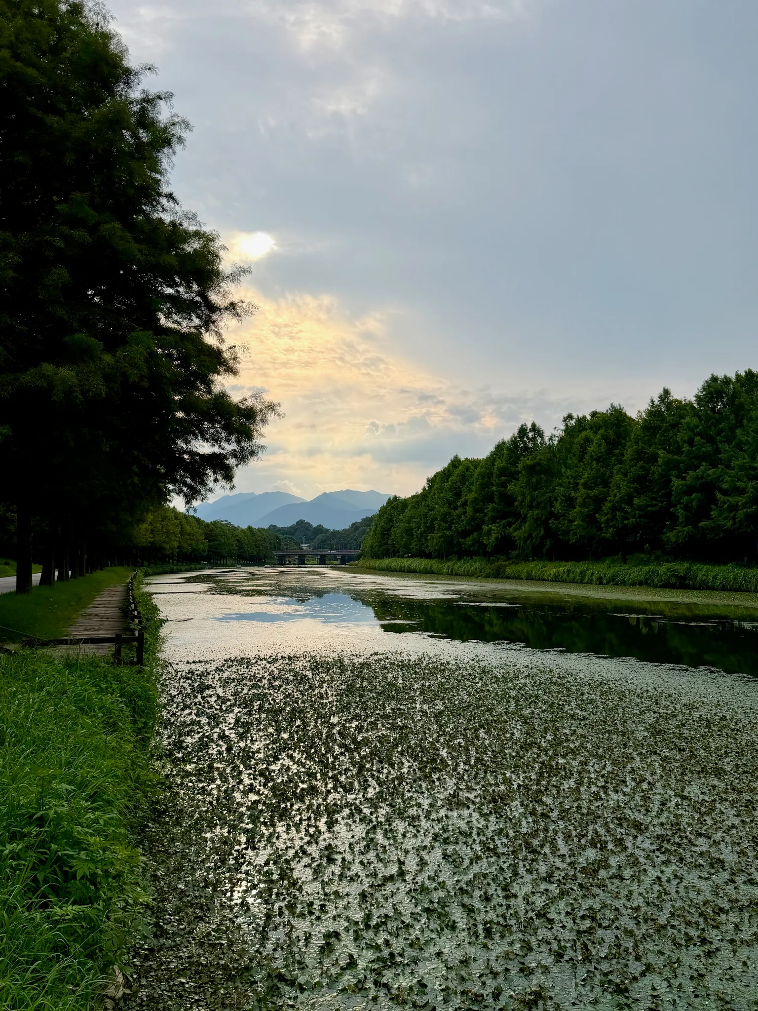 담양여행