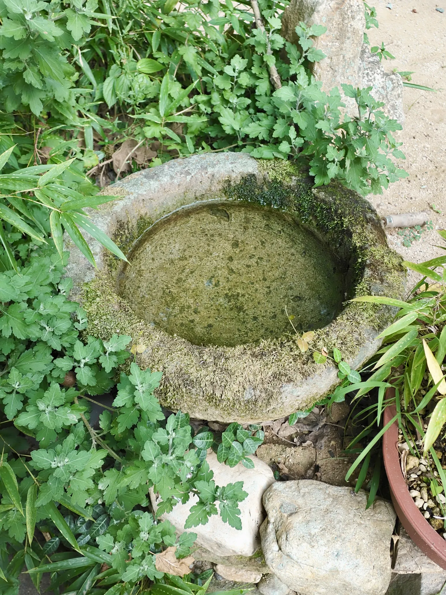 담양여행