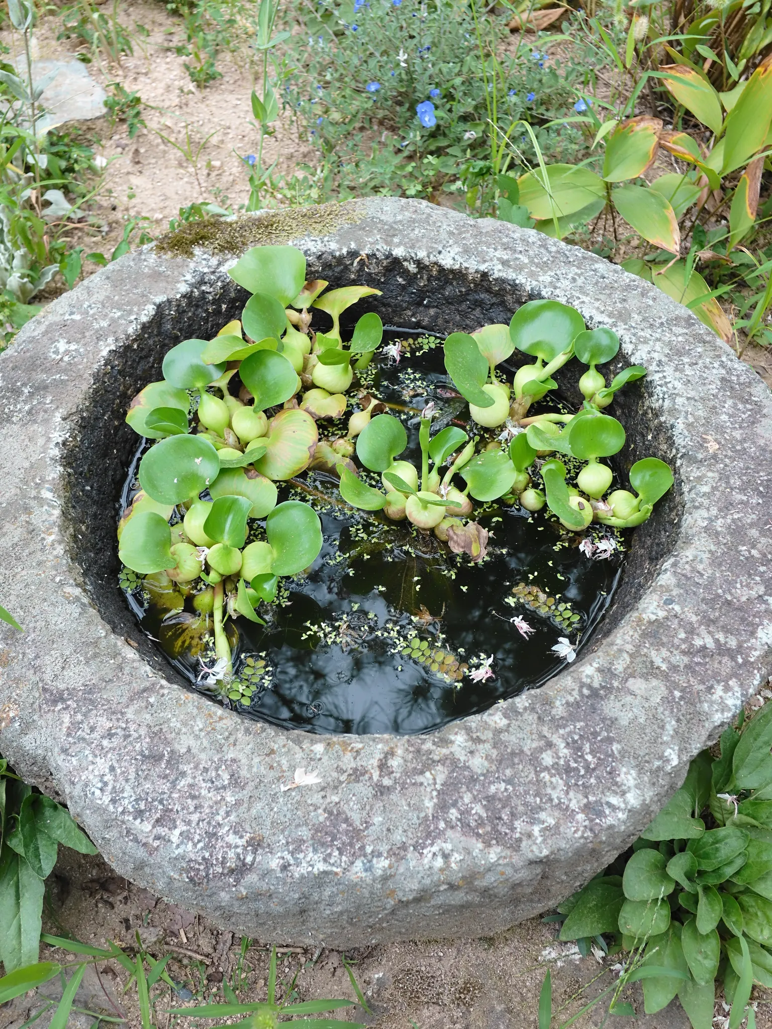담양여행