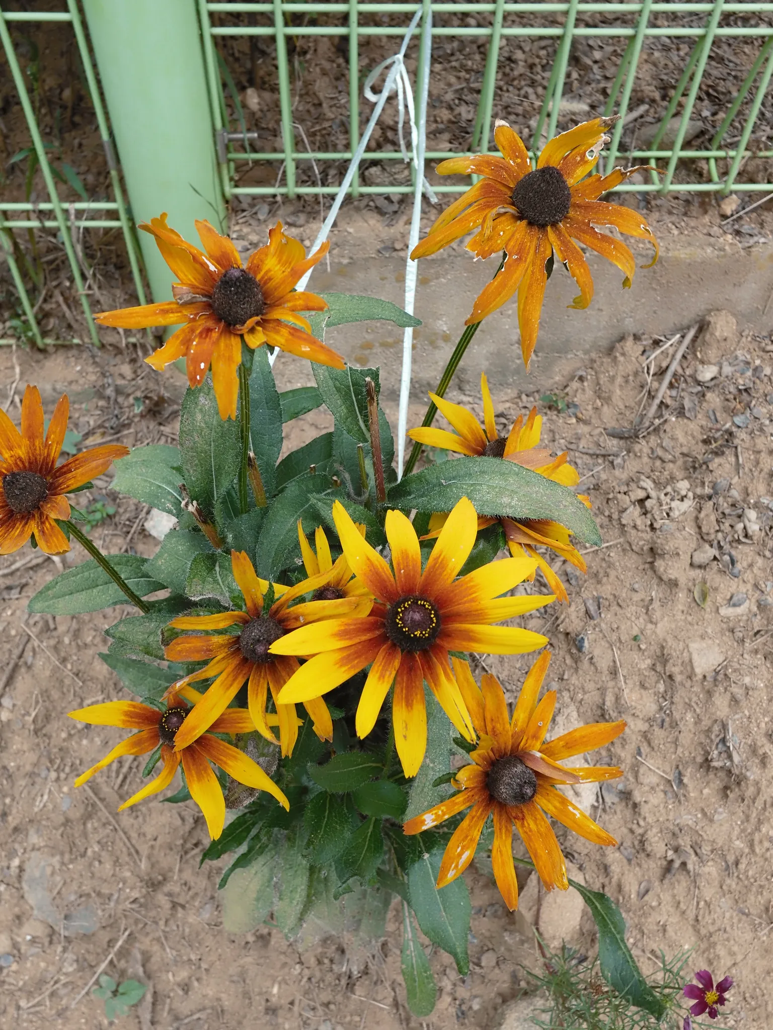 담양여행