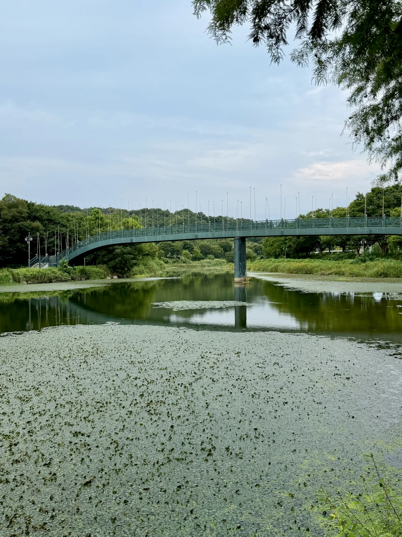 담양여행