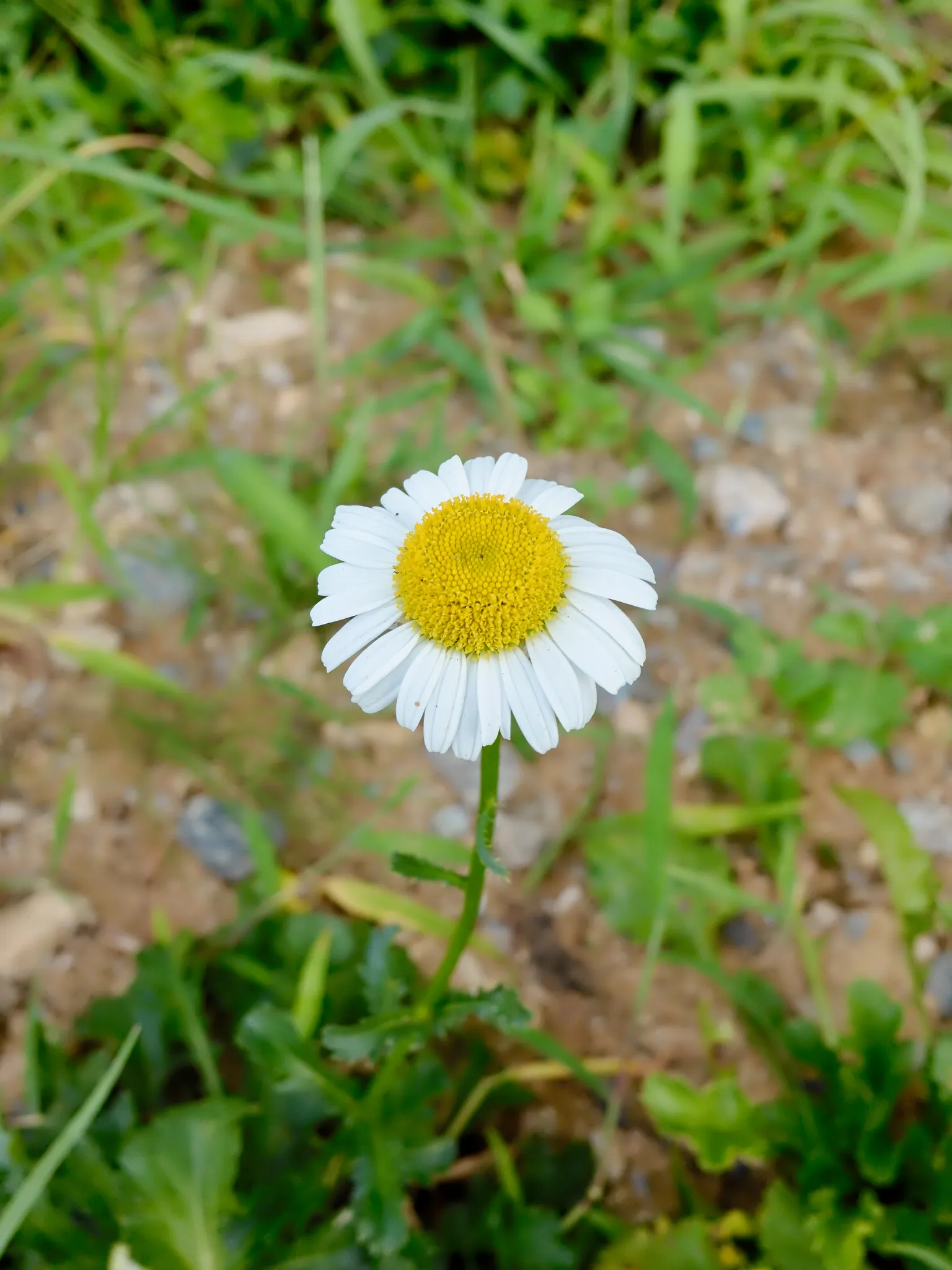 담양여행