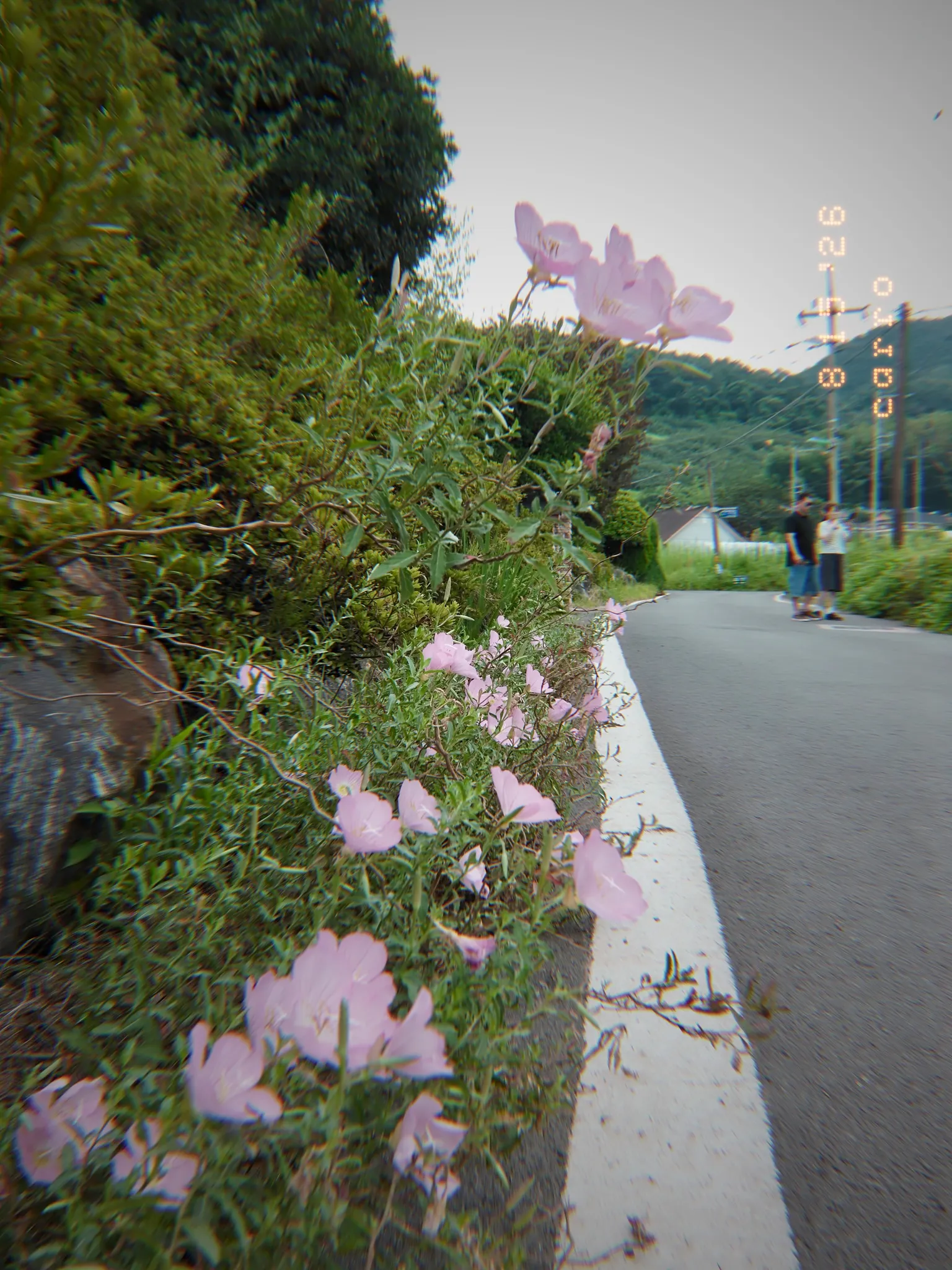 담양여행