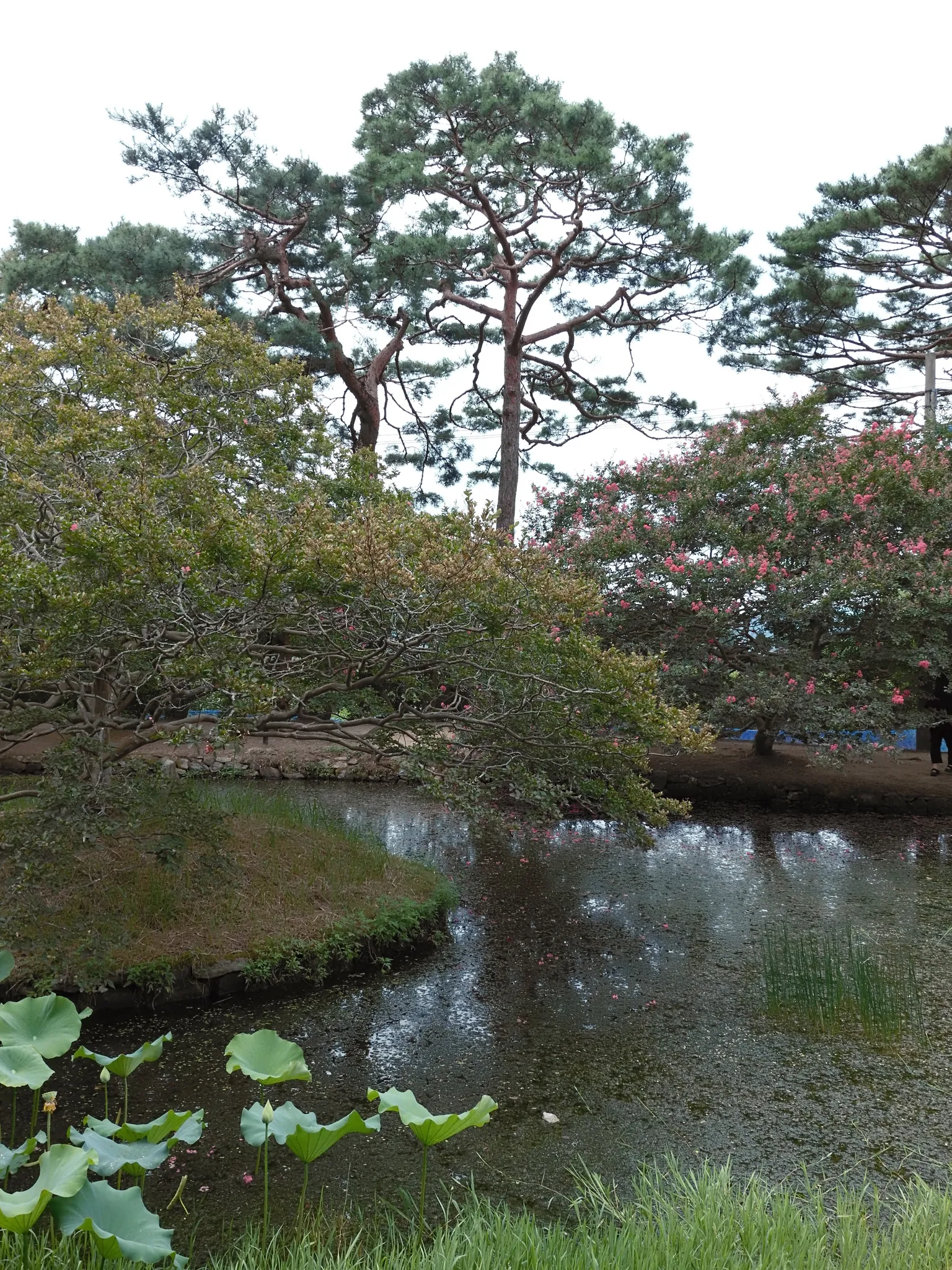 담양여행