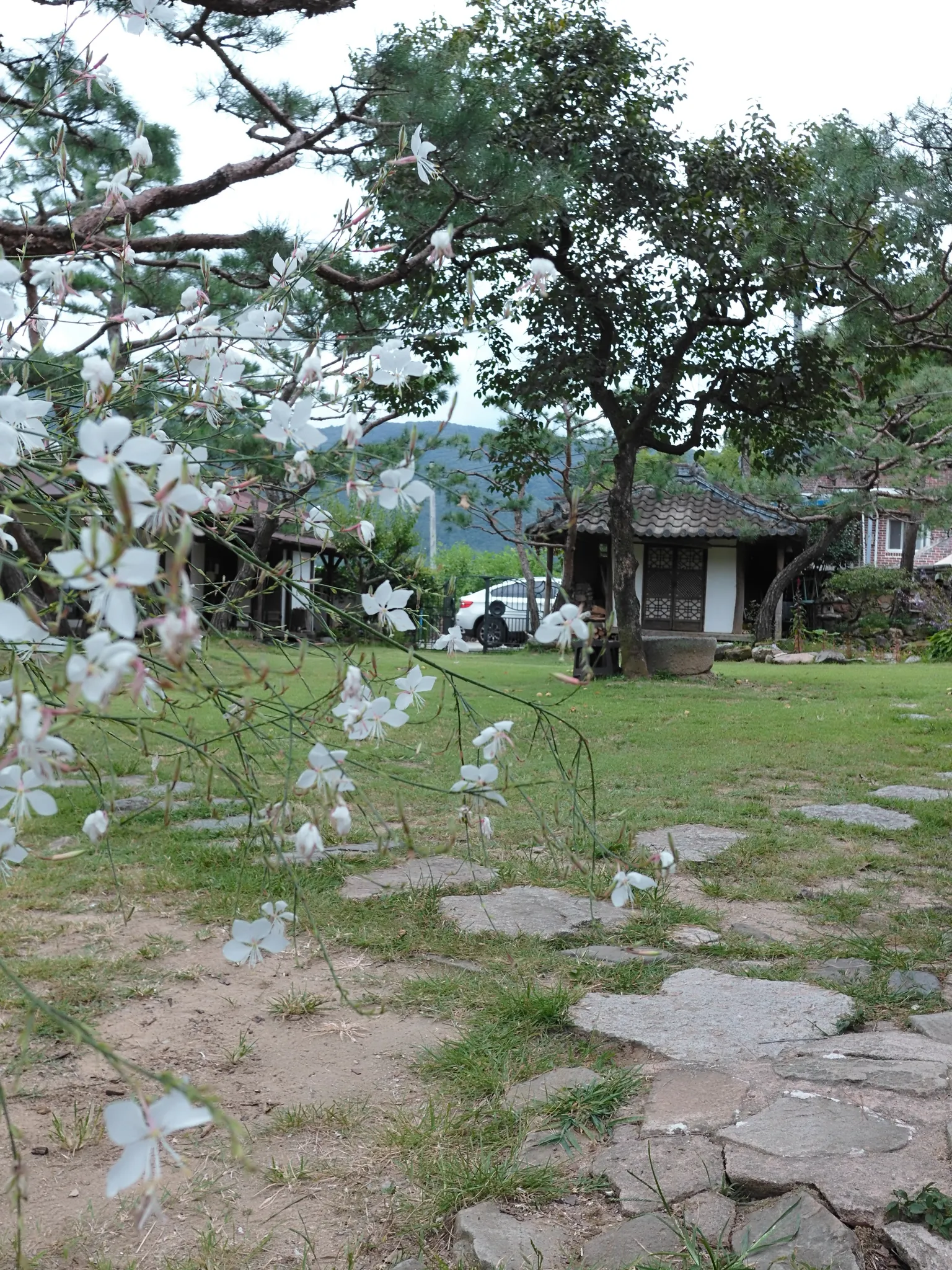 담양여행