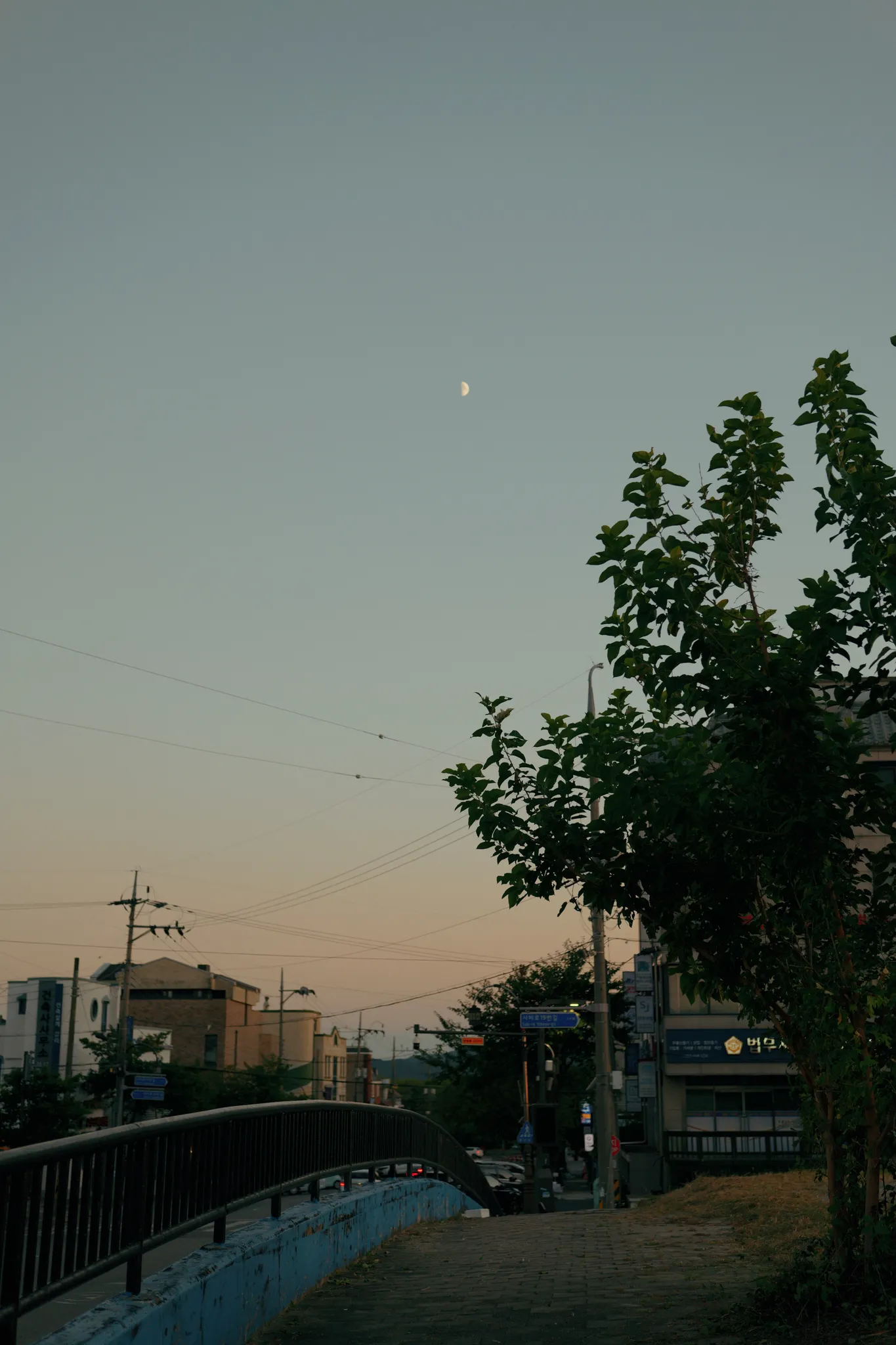 부여