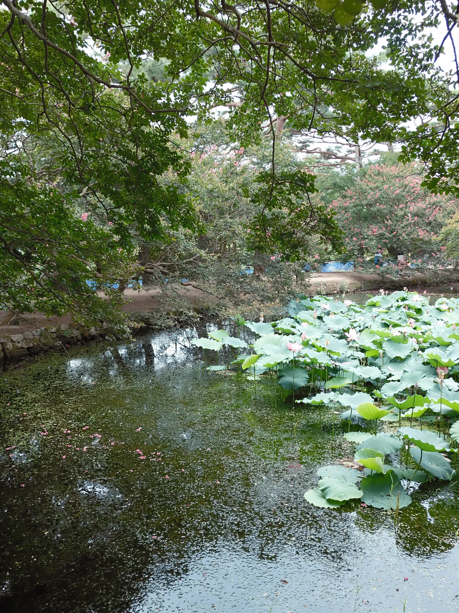 담양여행